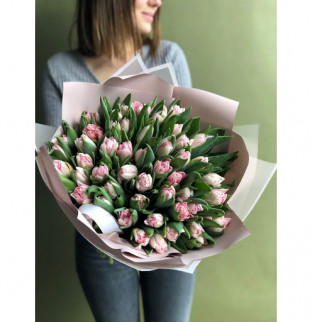 Premium tulipány: růžové