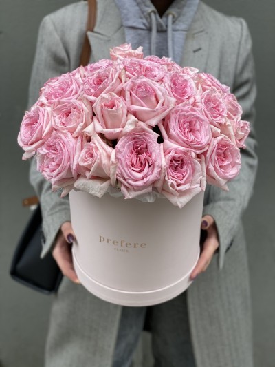 Růže v kloboukové krabici Grand
