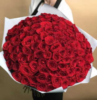 101 červených růží 70 cm