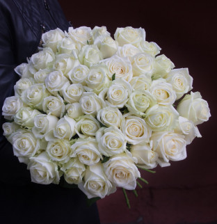 51 bílých růží