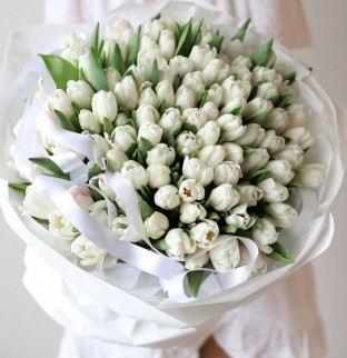 101 белый тюльпан