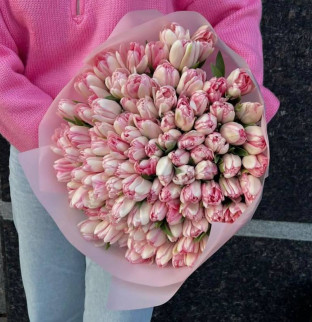 101 розовый тюльпан 101 розовый тюльпан