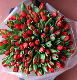 101 red tulips