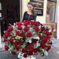 150 růží v košíku 