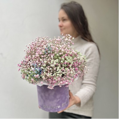 Gypsophila v krabici #2