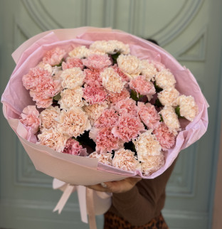 Dianthus 49 pc