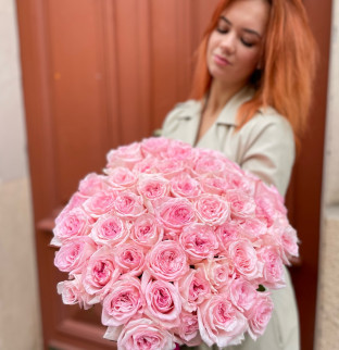 Pivoňkové růže Pink O´Hara