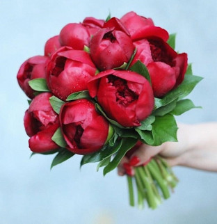Bridal bouquet - red peonies 