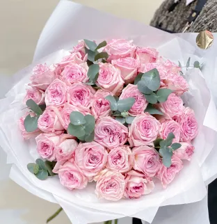 Pivoňkové růže Pink O´Hara Pivoňkové růže Pink O´Hara