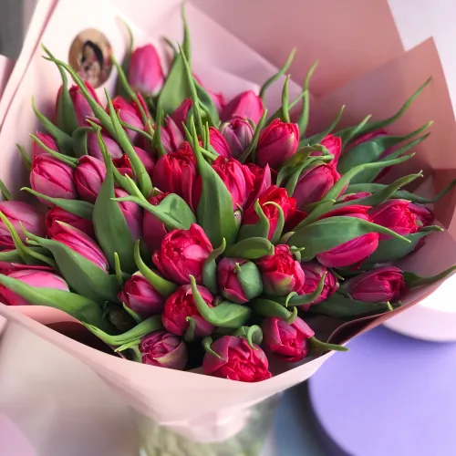 Kytice rudých tulipánů Kytice rudých tulipánů