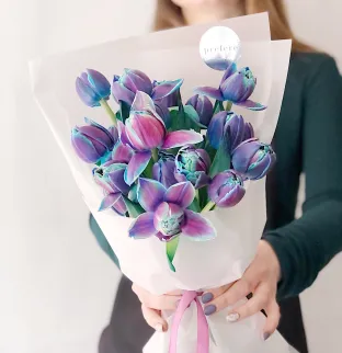 Tulips