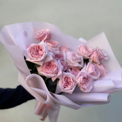 Pink Roses NotClassic Pink Roses NotClassic