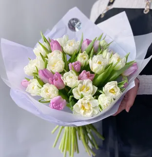 49 Tulips bouquet 49 Tulips bouquet