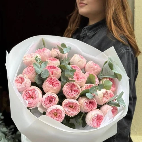 Roses MANSFIELD PARK Roses MANSFIELD PARK