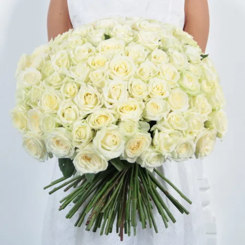 101 white roses 101 white roses