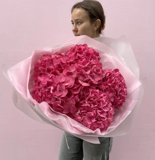 Hydrangeas 7