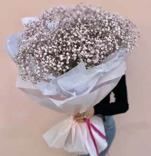 Gypsophila Pink