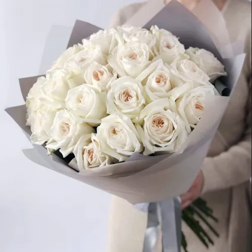 39 Garden Roses White O’Hara 39 Garden Roses White O’Hara