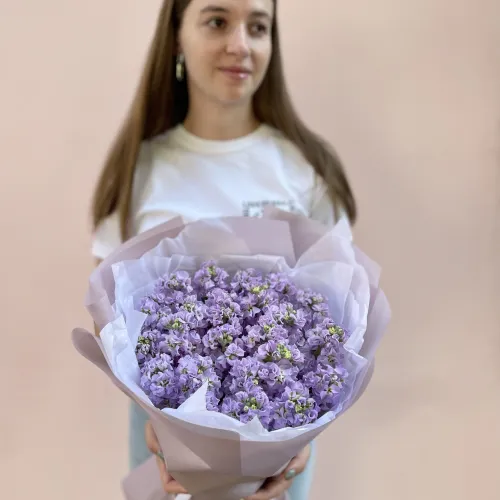 Levandulová matthiola Levandulová matthiola