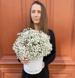 Bílá gypsophila v krabici