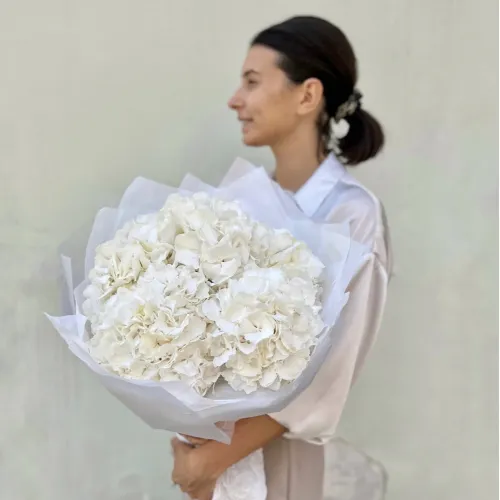 White Hydrangeas White Hydrangeas