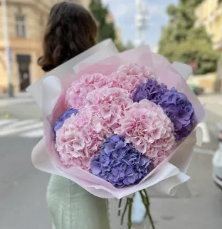 Hydrangeas Mix