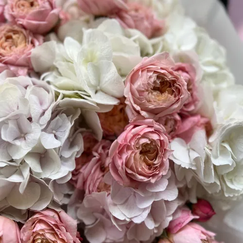 Hydrangeas and bush roses #2 Hydrangeas and bush roses #2