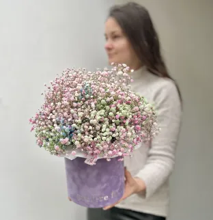 Gypsophila in a box #2