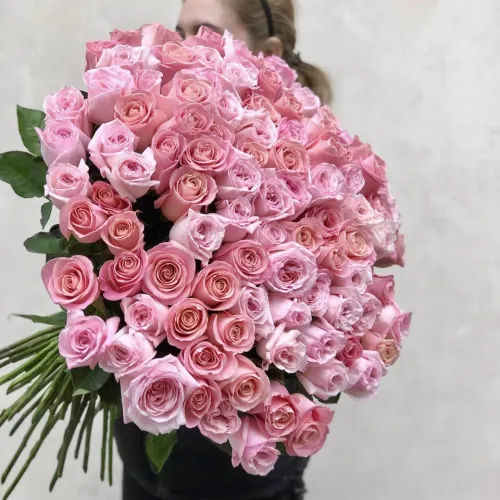 101 pink roses 101 pink roses