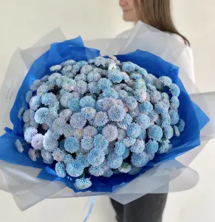 Unusual chrysanthemums