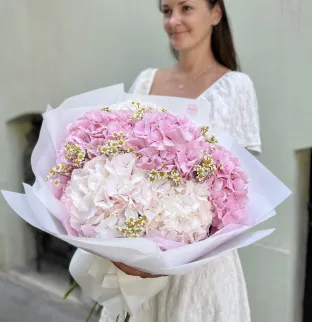 Hydrangeas and chamomile