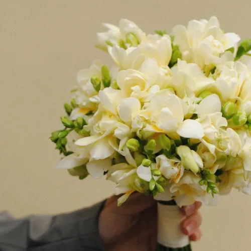 Freesia Wedding Bouquet Freesia Wedding Bouquet