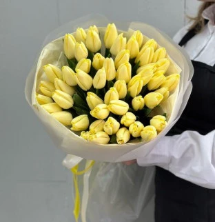 Tulips 
