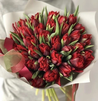 Tulip bouquets 