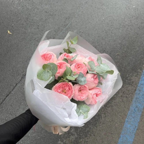 Roses MANSFIELD PARK Roses MANSFIELD PARK