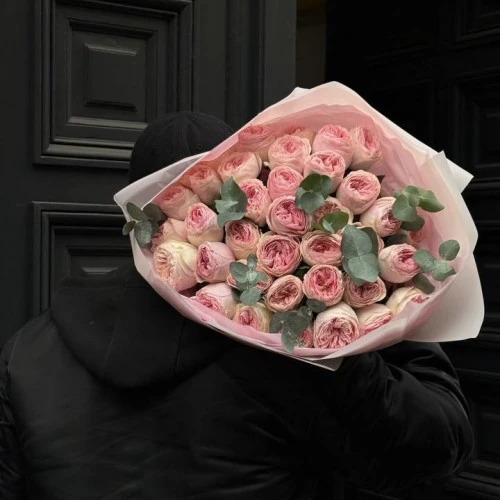 Roses MANSFIELD PARK Roses MANSFIELD PARK