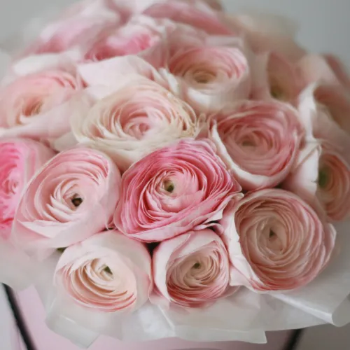 Ranunculus in a hat box Pink Ranunculus in a hat box Pink