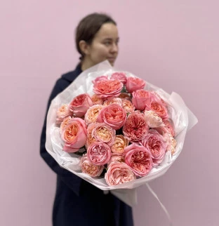 Pivoňkové růže Pink Expression a Julietta