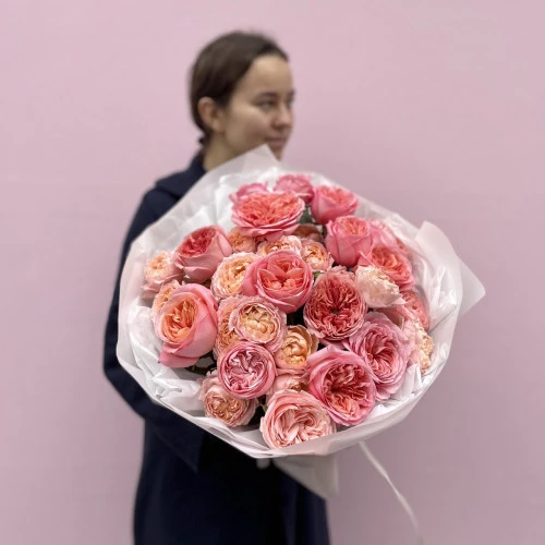 Garden Roses Pink Expression a Julietta Garden Roses Pink Expression a Julietta