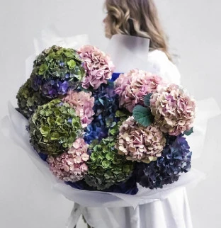 Autumn Hydrangeas