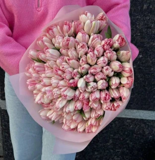 101 pink tulips