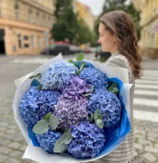 Hydrangeas and eucalyptus