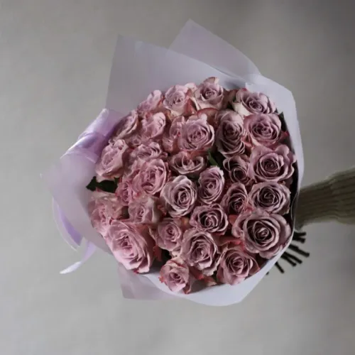 25 Violet roses 25 Violet roses