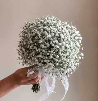 Wedding Bouquet - Gyphophila Wedding Bouquet - Gyphophila