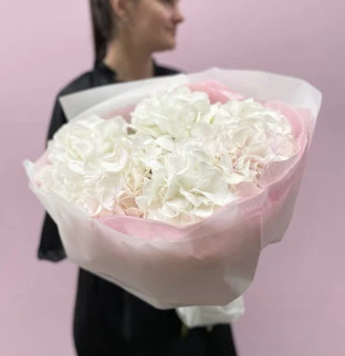 White hydrangeas 5