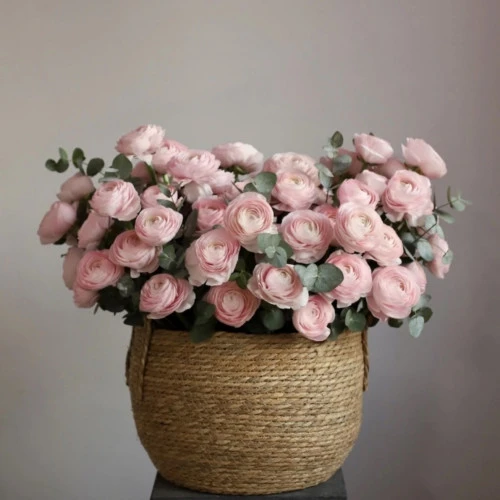 101 ranunculus v košíku 101 ranunculus v košíku
