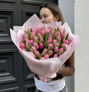 Tulips 