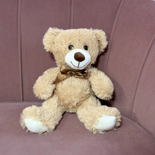 Teddy bear Teddy bear