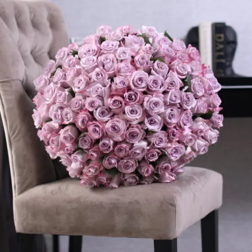 101 violet roses 101 violet roses
